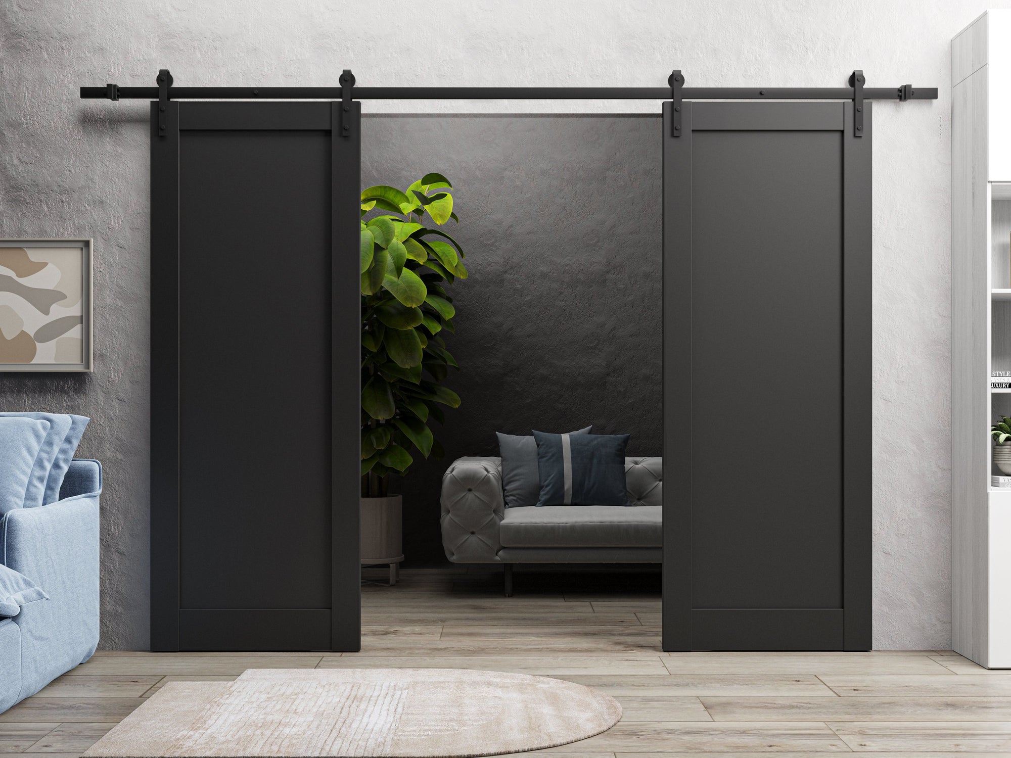 Double Barn Doors