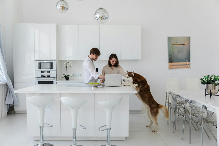 Understanding Kitchen Cabinet Trends with a Top Fort Lauderdale Cabinet Maker