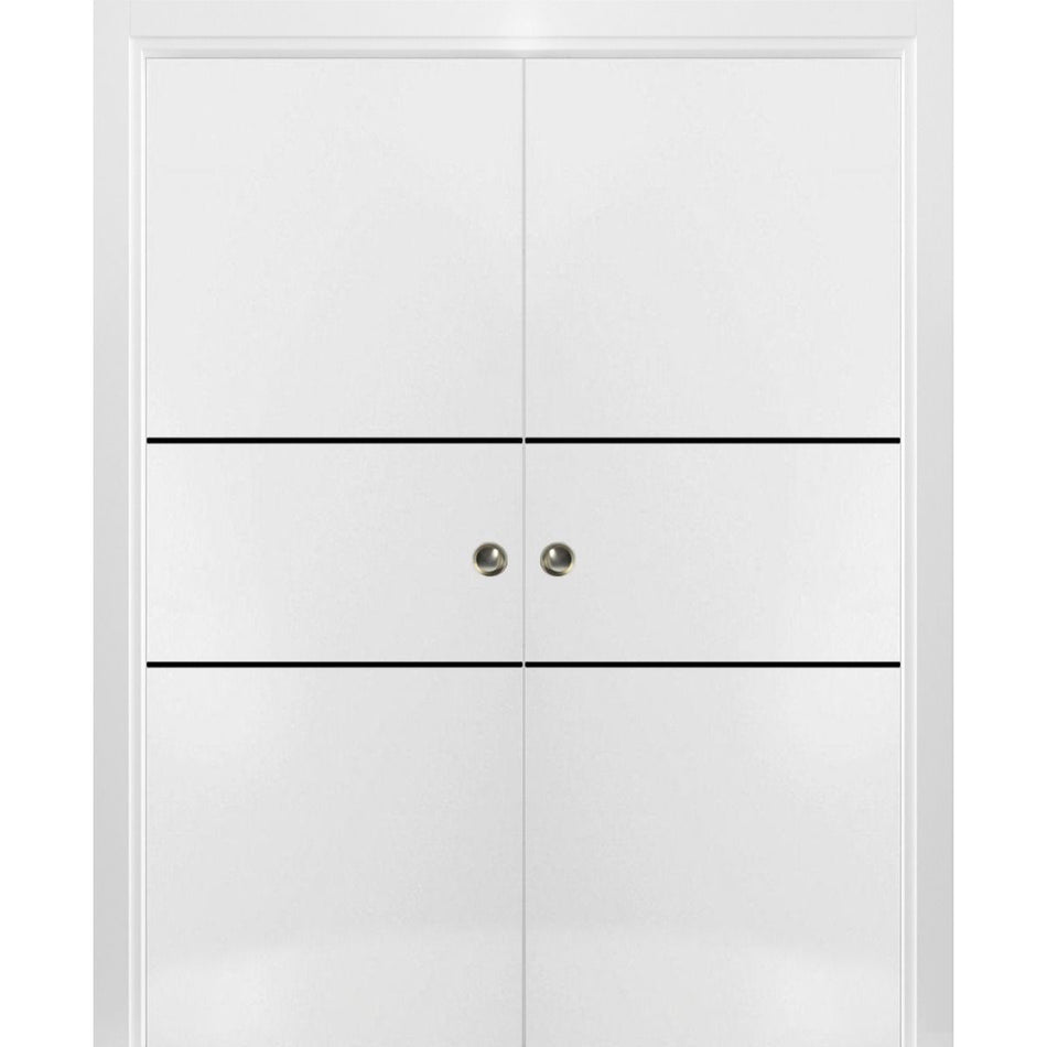 Planum 0014 - Interior Pocket Double Door